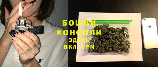 бошки Ладушкин