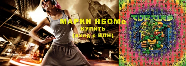 бошки Ладушкин