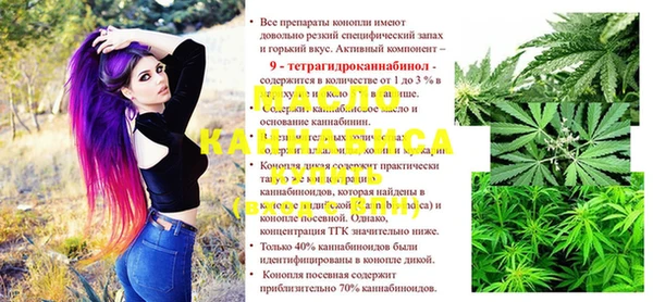 гашик Лабытнанги
