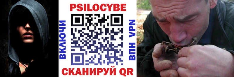 Купить  Амурск  Галлюциногенные грибы мицелий 