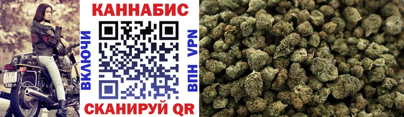 Конопля OG Kush  Купить где  Амурск 